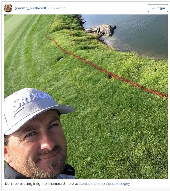 Graeme McDowell e un alligatore troppo vicino...