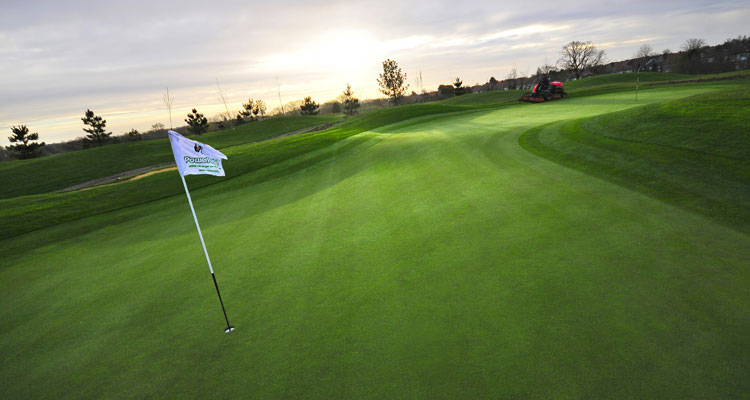 Il green con bandierina e buca in un campo da golf