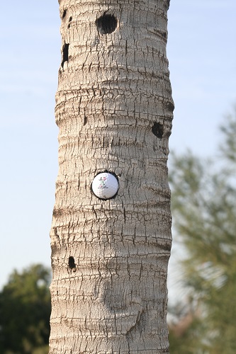 IMBUCATO Il selfie del golf