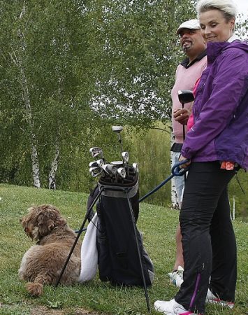 Cani e golf