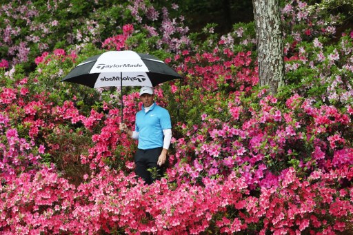 AUGUSTA Le azalee fanno da cornice a Rory McIlroy mentre cerca la sua pallina nella buca 13 durante il terzo giro all'Augusta National (foto Afp)