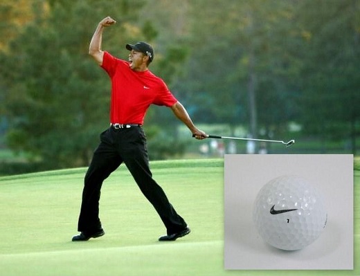 La foto di Tiger Woods pubblicata sul sito della casa d'aste online.