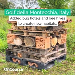 Api e golf, uno dei bug hotel alla Montecchia.