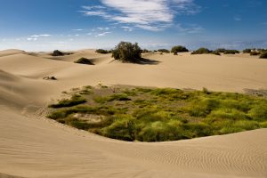 Golf alle Canarie