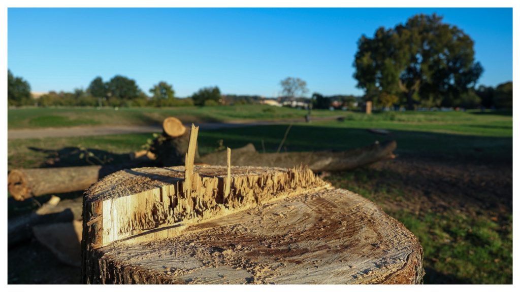 East Potomac Golf Links