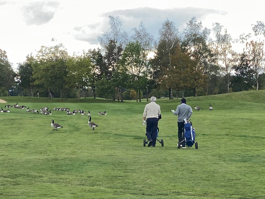 Burhill Golf Club, Walton-on-Thames, golf