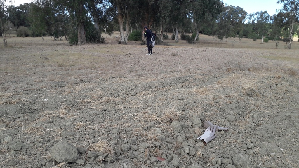 golf in algeria