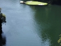 GOLFESTREMO3