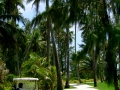 Golf de Temae (Moorea)