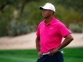 Tiger studia il tiro seguente