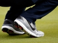 Tiger, campione nei dettagli